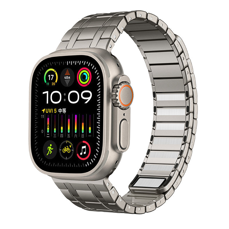 Frosted Stainless Steel Magnetic Band For Apple Watch TikBand