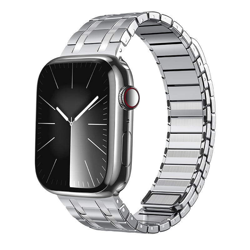 Frosted Stainless Steel Magnetic Band For Apple Watch